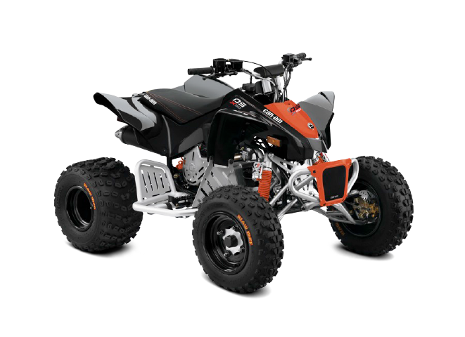 Can-Am DS 90X